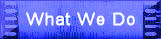 what we do